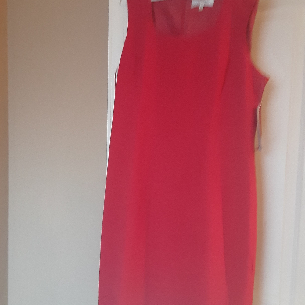 Sleeveless Red Sexy Dress. If you Wear a 16, this is Perfect For You.